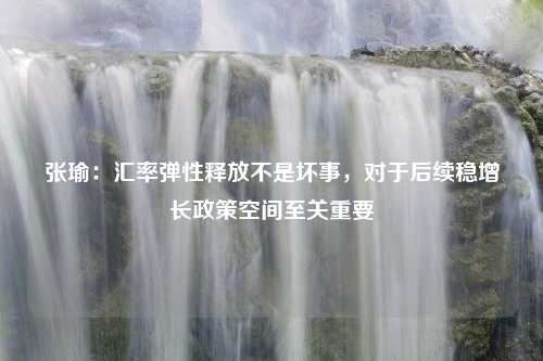 张瑜：汇率弹性释放不是坏事，对于后续稳增长政策空间至关重要