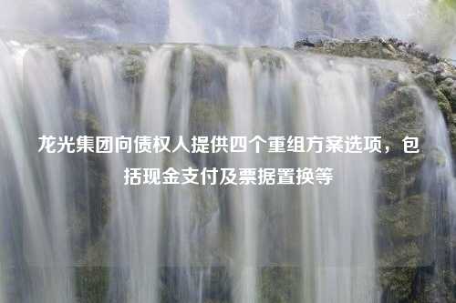 龙光集团向债权人提供四个重组方案选项，包括现金支付及票据置换等