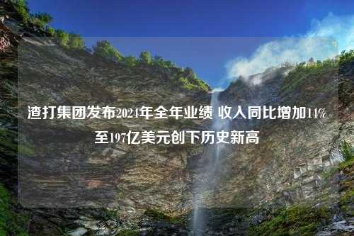 渣打集团发布2024年全年业绩 收入同比增加14%至197亿美元创下历史新高