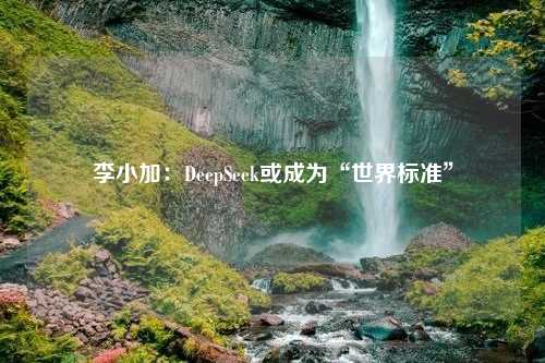 李小加：DeepSeek或成为“世界标准”