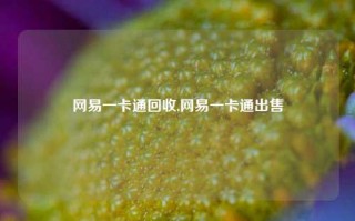 网易一卡通回收,网易一卡通出售