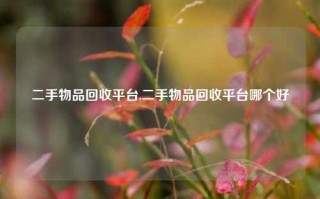 二手物品回收平台,二手物品回收平台哪个好