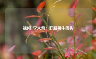 视频|李大霄：好股票牛回头