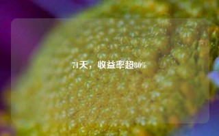 71天，收益率超80%