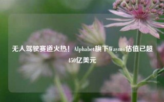 无人驾驶赛道火热！Alphabet旗下Waymo估值已超450亿美元