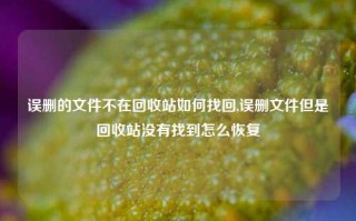 误删的文件不在回收站如何找回,误删文件但是回收站没有找到怎么恢复