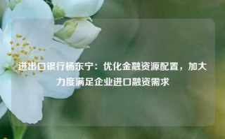 进出口银行杨东宁：优化金融资源配置，加大力度满足企业进口融资需求