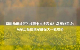 何时动用核武？梅德韦杰夫表态！乌军总司令：乌军正抵御俄军最强大一轮攻势