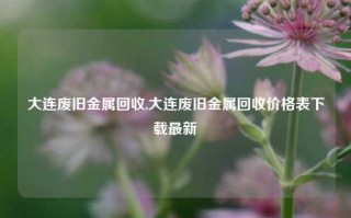 大连废旧金属回收,大连废旧金属回收价格表下载最新