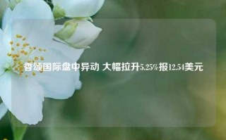 香颂国际盘中异动 大幅拉升5.25%报12.54美元