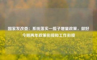 国家发改委：系统落实一揽子增量政策，做好今明两年政策衔接和工作衔接