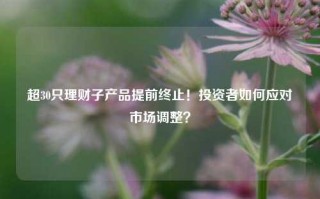 超30只理财子产品提前终止！投资者如何应对市场调整？