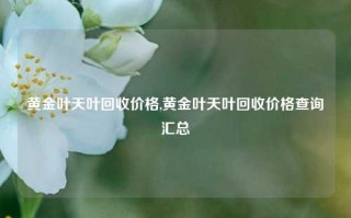 黄金叶天叶回收价格,黄金叶天叶回收价格查询汇总