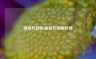 废硅片回收,废硅片回收价格