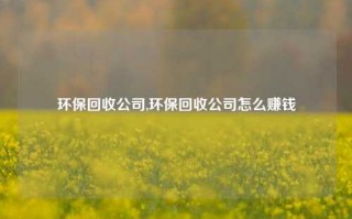 环保回收公司,环保回收公司怎么赚钱