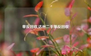 单反回收,达州二手单反回收