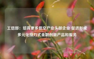 工信部：培育更多低空产业头部企业 促进形成多元化接力式金融创新产品和服务