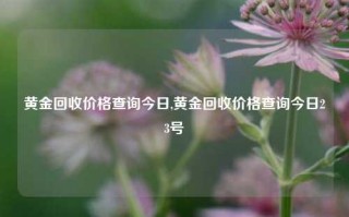 黄金回收价格查询今日,黄金回收价格查询今日23号