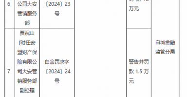 安盟财险大安营销服务部被罚12万元：虚列业务及管理费