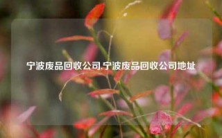 宁波废品回收公司,宁波废品回收公司地址