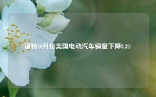 福特10月份美国电动汽车销量下降8.3%