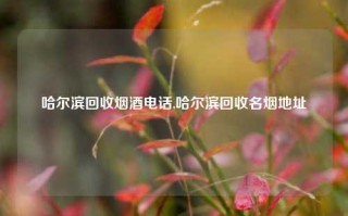 哈尔滨回收烟酒电话,哈尔滨回收名烟地址