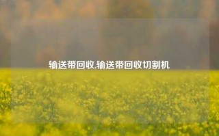 输送带回收,输送带回收切割机