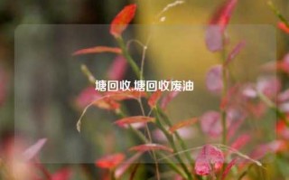 塘回收,塘回收废油