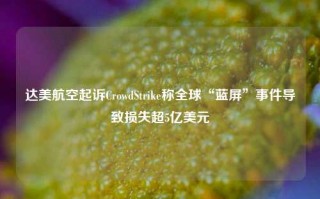 达美航空起诉CrowdStrike称全球“蓝屏”事件导致损失超5亿美元