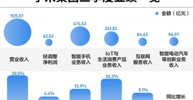 手握1516亿现金，雷军阔步造车