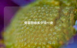 虫草回收多少钱一克