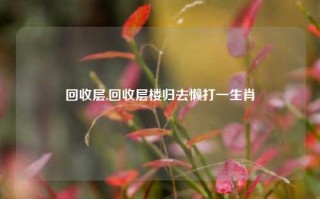 回收层,回收层楼归去懒打一生肖