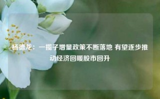 杨德龙：一揽子增量政策不断落地 有望逐步推动经济回暖股市回升