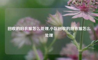 回收的旧衣服怎么处理,小区回收的旧衣服怎么处理