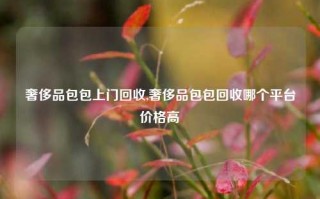 奢侈品包包上门回收,奢侈品包包回收哪个平台价格高