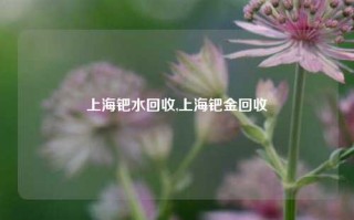 上海钯水回收,上海钯金回收