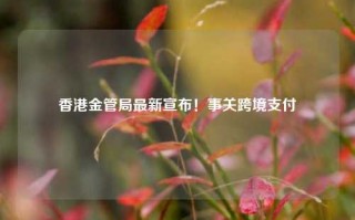 香港金管局最新宣布！事关跨境支付