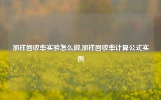 加样回收率实验怎么做,加样回收率计算公式实例