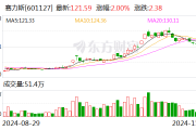 赛力斯调入沪深300、上证50、中证A500、上证180指数