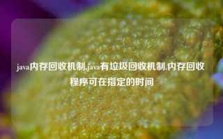 java内存回收机制,java有垃圾回收机制,内存回收程序可在指定的时间