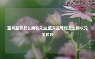 蓝月至尊怎么回收元宝,蓝月至尊版怎么回收元宝换钱