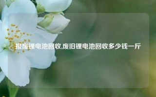 报废锂电池回收,废旧锂电池回收多少钱一斤