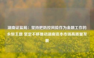 湖南证监局：坚持把防控风险作为金融工作的永恒主题 坚定不移推动湖南资本市场高质量发展