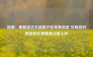 花旗：美股这次大选前夕反常地淡定 交易员对降息的乐观情绪占据上风