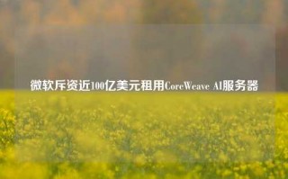 微软斥资近100亿美元租用CoreWeave AI服务器