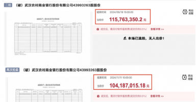股权多次流拍背后：经营质效难露喜色 武汉农商行负重前行