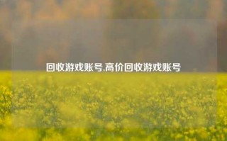 回收游戏账号,高价回收游戏账号