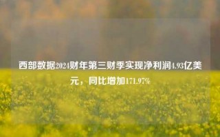 西部数据2024财年第三财季实现净利润4.93亿美元，同比增加171.97%