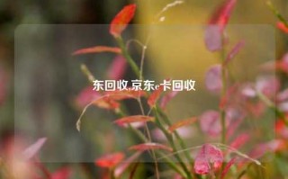 东回收,京东e卡回收