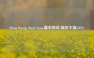 Clean Energy Fuels Corp.盘中异动 股价大涨5.07%